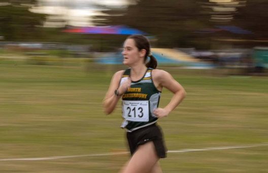 Adult race walker in competition
